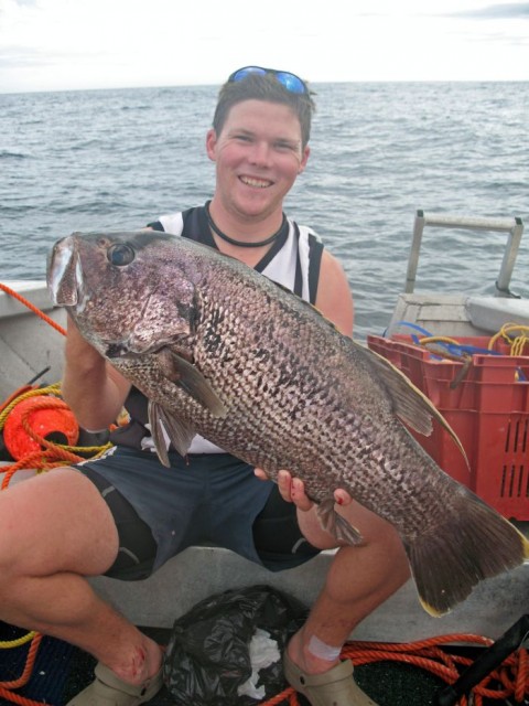 Abrolhos Dhuie